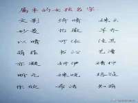 哈尔滨若特蒂科技有限公司
