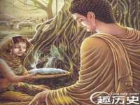 哈尔滨若特蒂科技有限公司