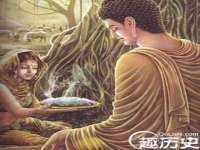 哈尔滨若特蒂科技有限公司
