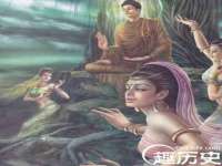 哈尔滨若特蒂科技有限公司